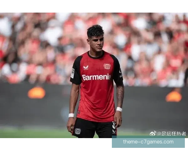 拜耳勒沃库森俱乐部的发展历程与足球辉煌成就解析