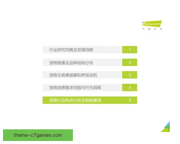 北京市足球赛事热力全景解析与未来发展趋势研究
